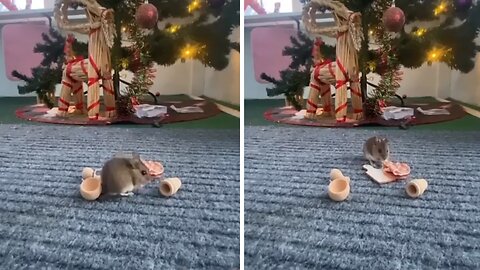 Mouse caught on camera stealing Christmas food