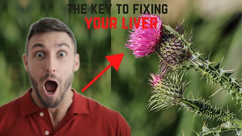 THE KEY TO FIXING YOUR LIVER- MILK THISTLE