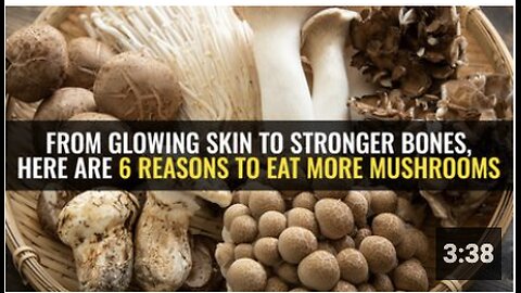 From glowing skin to stronger bones, here are 6 reasons to eat more mushrooms