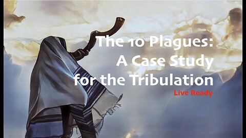 The 10 Plagues: A Case Study for the Tribulation