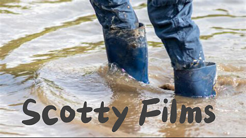 Stevie Ray Vaughan - Texas Flood | Scotty mar10