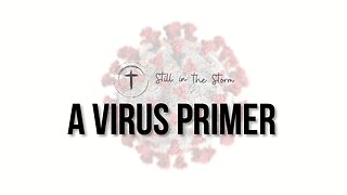 A Virus Primer