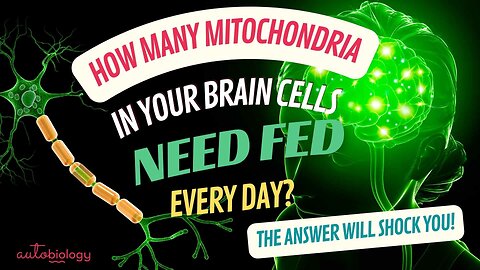 How many mitochondria are in EACH brain cell?