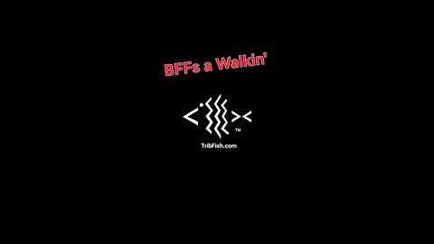 BFFs Walkin'