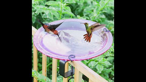 MUMTOP Bird Bath Outdoor Glass 11 Inch Bird Feeder Bowl Hummingbird Flower Garden Decoration