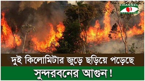 দুই কিলোমিটার জুড়ে ছড়িয়ে পড়েছে সুন্দরবনের আগুন! | Fire Incident | Sundarban Forest