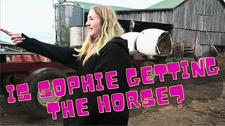 It's Finally Time! Is Sophie Getting The Horse?