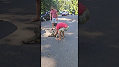 Man Rescues Stranded Sloth with Help from Another