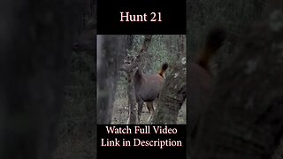 Hunt 21