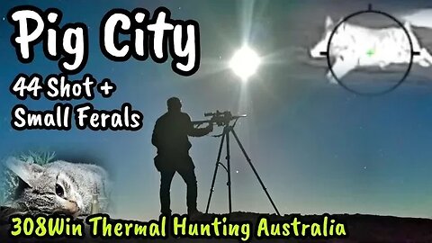 Hunting Boars with Thermal || Feral Pig, Cat & Fox Cull / Shooting Australia || 308 Winchester