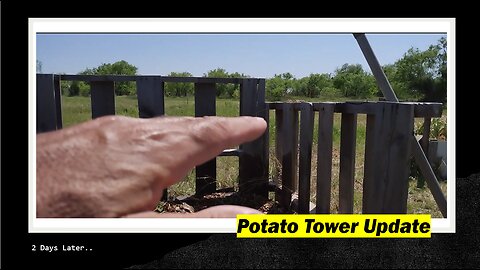 Potato Tower Update