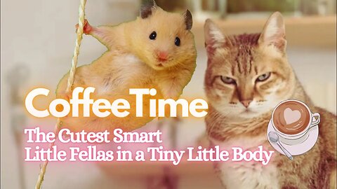CoffeeTime | Ep.03 The Smallest and Smartest Pet in the World