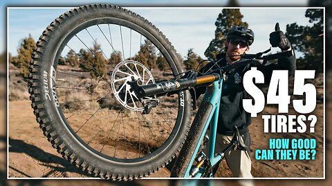 $45 Mountain Bike Tires? Delium Rugged Tire Review