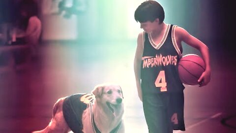 Boy Found A Genius Dog And They Created A Great Team To Win Every Game Films capture Filmscapture