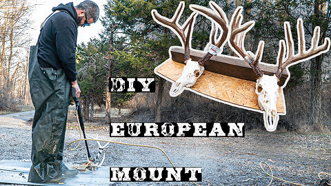 DIY European Mount! Save hundreds of dollars by skipping the taxidermist (Complete How-To Video!)