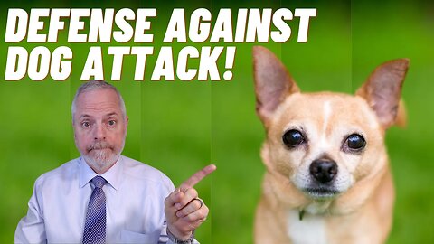Lawful Defense Against Animal Attacks!