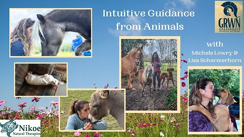 Intuitive Guidance from Animals