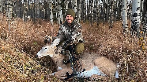 First-Time Bow Hunting Success: My Journey to Taking a Whitetail Deer in Southern Alberta