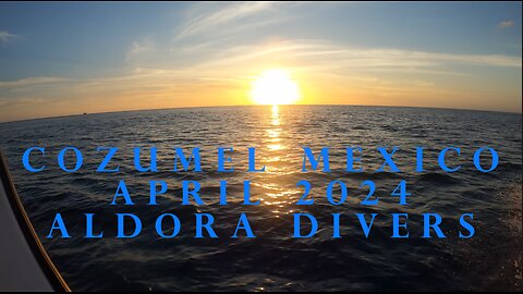 Cozumel Mexico April 2024 Aldora Divers night dive