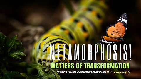 LOOKING INTO MATTERS OF INNER TRANSFORMATION. METAMORPHOSIS. SESSION 3.