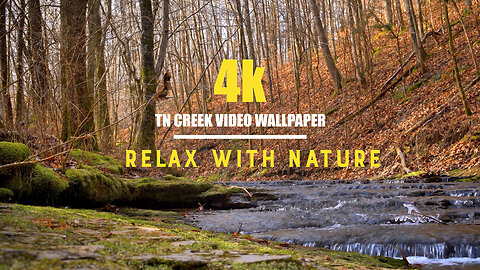 Relaxing Nature, Ambient Creek Sounds