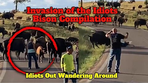 Invasion of the Idiots Bison Compilation: Idiots Out Wandering Around