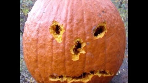 Pumpkin Carving With a Glock 23