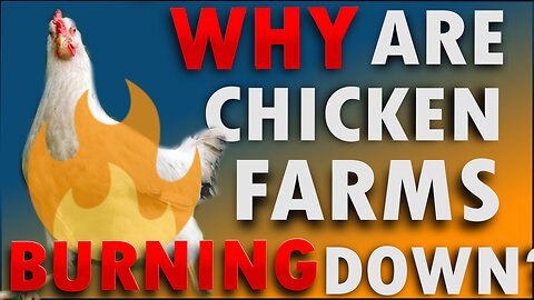 WHY are Chicken Farms around the U.S. BURNING DOWN? - Waking Up America - Ep 39
