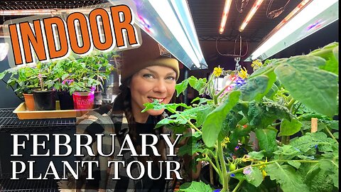 Gardening Indoors- (mostly edible) Plant Tour