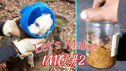 Making IMO #2