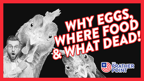 BREAKING: WHY EGGS, WHERE FOOD, & WHAT DEAD!