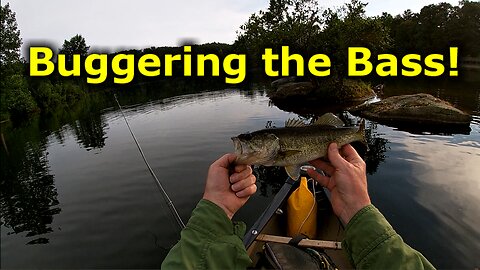 Large Mouth Bass Fly Fishing with Top Water Poppers