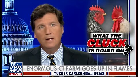 Tucker Carlson Voices His Concerns Over the Egg Shortage & Food Supplies