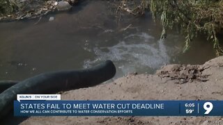 States fail to meet water cut deadline