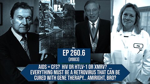 Ep 260.6: AIDS = CFS? HIV, HTLV-1, XMRV; Mikovits gallo levy DeFreitas more its all retroviruses bro