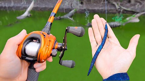 Catch 10x MORE Bass - THROW THIS! (Bass Fishing Tips)