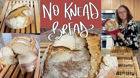 No Knead Bread | Beginner Bread Baking | Rustic Loaf | Bread Baking for Beginners