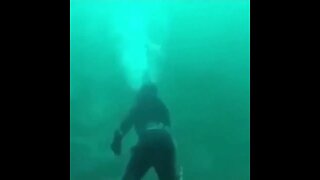 Scary encounter between a diver and shark in bad visibility conditions