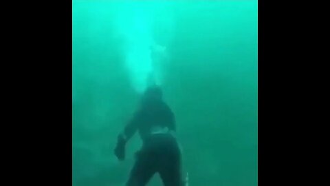 Scary encounter between a diver and shark in bad visibility conditions