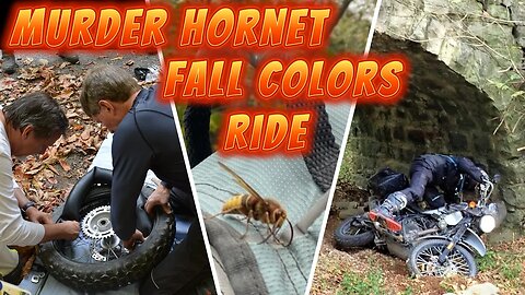 Murder Hornet Fall Colors Ride