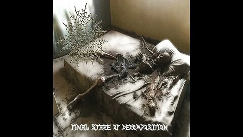 Soaked In Cadaveric Mush - Final Stage Of Decomposition (Full EP)