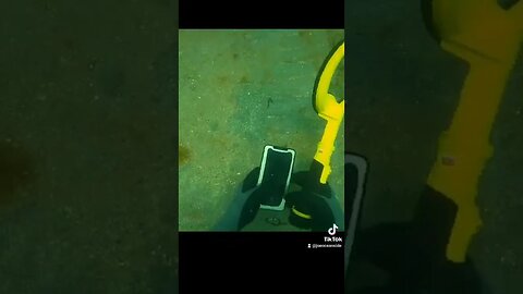 Diver finds iPhone under a boat dock