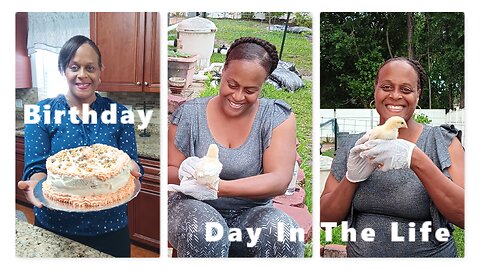 Vlog: Day In The Life | How To Make Carrot Cake For Our Birthday