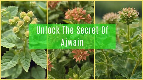 Ajwain: Your Secret Weapon For Optimal Health And Vitality