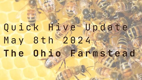 Quick Hive Update 5/8/24