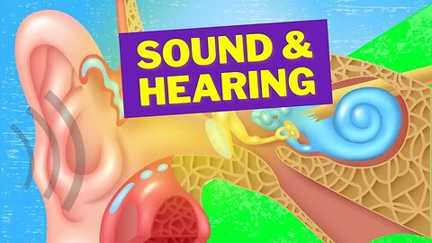 Journey of Sound to the Brain - How Hearing Works