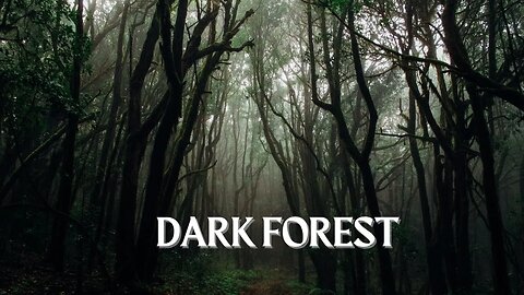 DARK FOREST Ambience and Music- sounds of dark misty forest