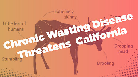 Chronic Wasting Disease Threatens California