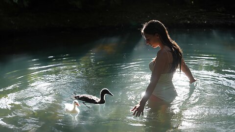 Calming Swim with My Pet Ducks: Daily Life in the Countryside