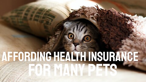 Affording health insurance for many pets